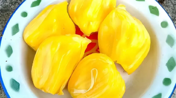 Buah Nangka Mengandung Nutrisi Tinggi dan Baik untuk Tubuh