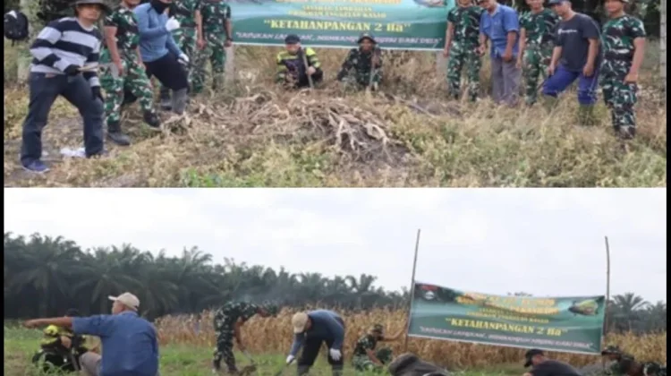 Satgas TMMD Pekanbaru Tanam Jagung Cabai Ubi Bersama Warga