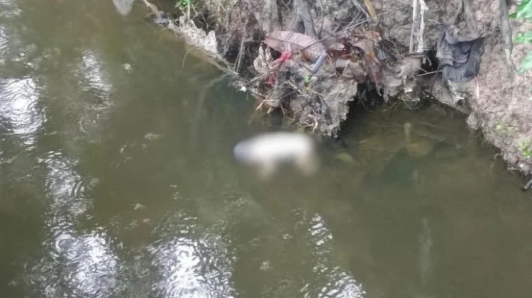 Penemuan Mayat Bayi Gegerkan Warga Perumahan Graha Panam Permai