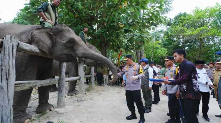 Dukung Pelestarian Gajah, Kapolri - Titiek Soeharto Tinjau TNTN