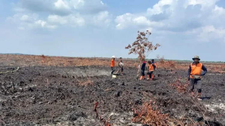 DPRD Riau Warning Karhutla, Warga Diminta Tidak Bakar Lahan