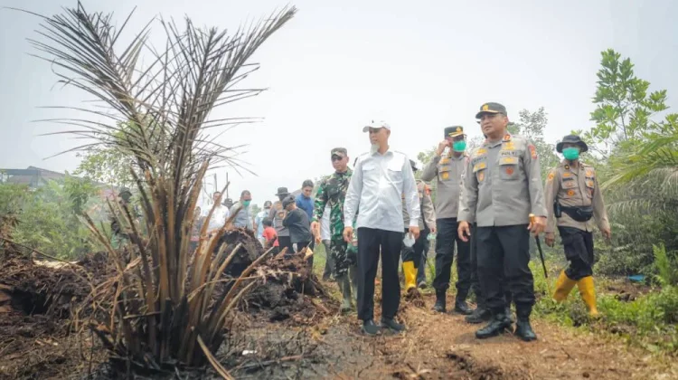 Wali Kota Dumai Bersama Kapolda Riau Pantau  Pemadaman Karhutla di Tanjung Palas