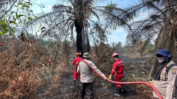 Hari Raya, Tim Fire Brigade Pertamina RU II Dumai Berjibaku Padamkan Karhutla