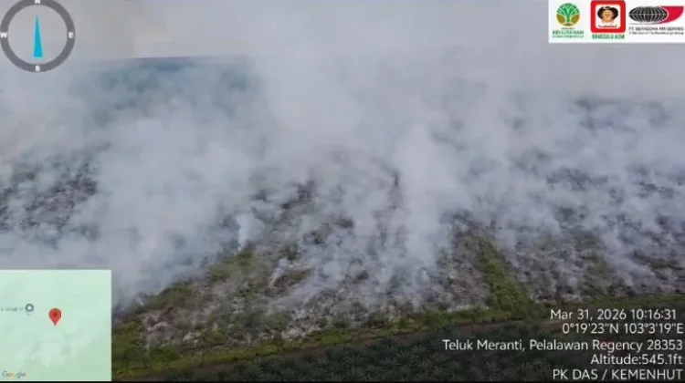 Api Karhutla Muncul Lagi di Pelalawan