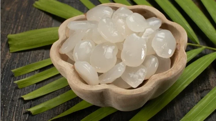Manfaat Kolang-Kaling, Cegah Penuaan hingga Pengeroposan Tulang