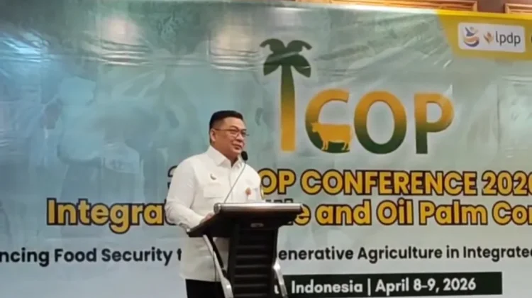 Integrasi Sapi–Sawit Jadi Kunci, tapi Tantangan Implementasi Masih Besar