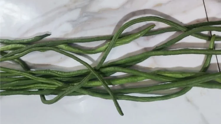 Vitamin dalam Kacang Panjang Sehat