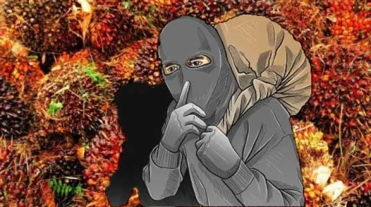 Resah Ninja Sawit dan Narkoba, Polisi Diminta Tingkatkan Pengawasan