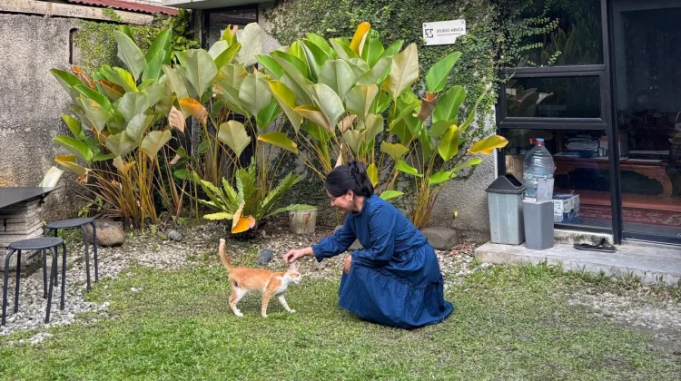 Healing Tak Harus Mahal: Menemukan Ketenangan dari Hal Sederhana di Sekitar Kita