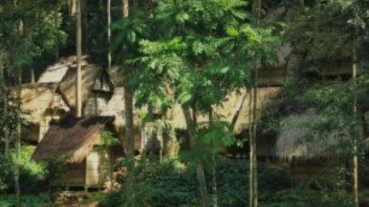 Desa Wisata Bagakshampae, Menyelami Kehidupan Asli Suku Sakai di Kampar