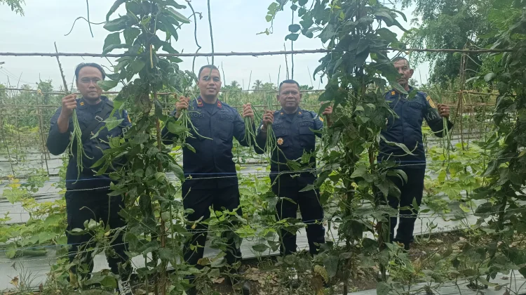 Ciptakan Kemandirian Pangan dan Pemberdayaan Warga Binaan lewat "Ketapang Lasepa"