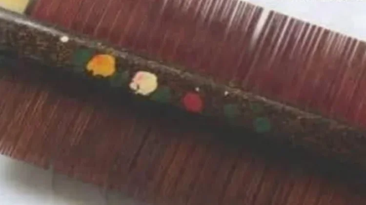 Sisir Kutu yang Mulai Terlupakan