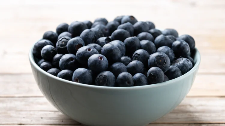 Blueberry: Buah Favorit Kaya Manfaat untuk Kesehatan