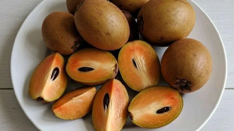 Buah Sawo Mengatasi Gangguan Pencernaan