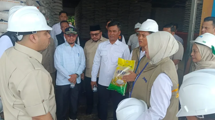 Pastikan Stok Beras Aman, Anggota DPR RI Kunjungi Gudang Bulog Riau Kepri