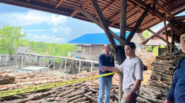 Praktik Mangrove Ilegal di Meranti, Polisi Tangkap Dua Pemilik Dapur Arang
