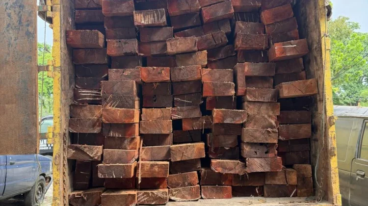 Polda Riau Bongkar Illegal Logging di Giam Siak Kecil