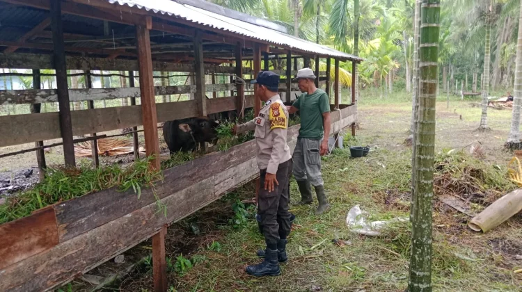 Dukung Ketahanan Pangan, Babhinkamtibmas Polsek Merbau Sambangi Pertenak Sapi