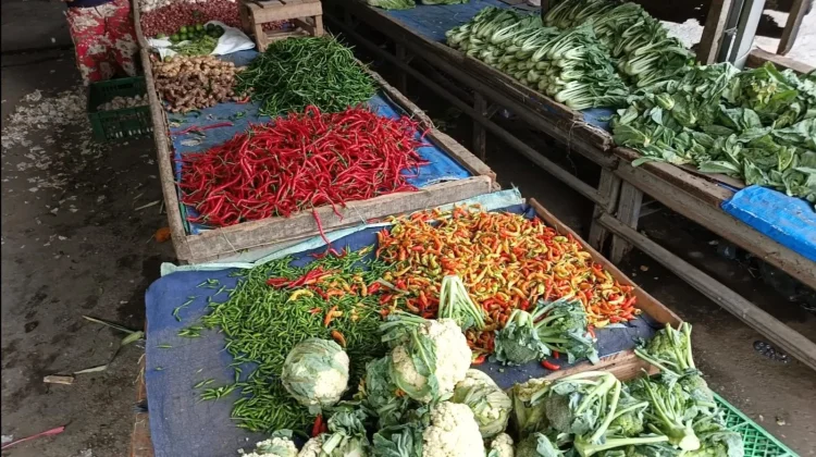 Dampak Elnino, Harga Sayur Pekanbaru Naik Drastis