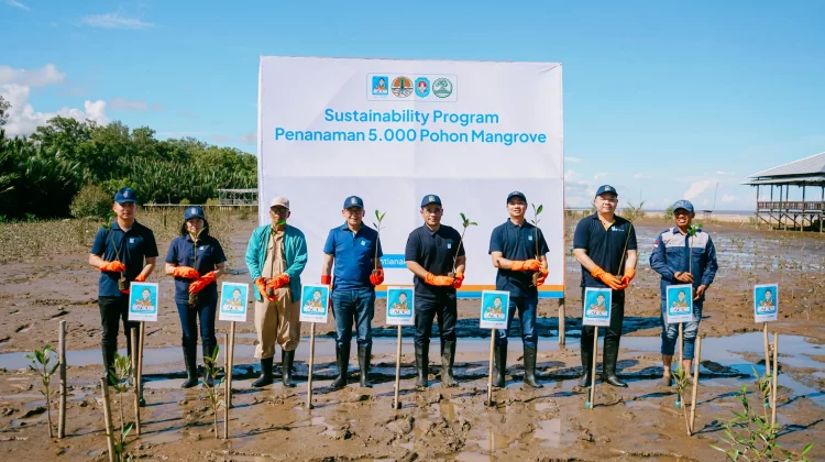 Komitmen Jaga Lingkungan, ACC Tanam 5.000 Mangrove di Pontianak