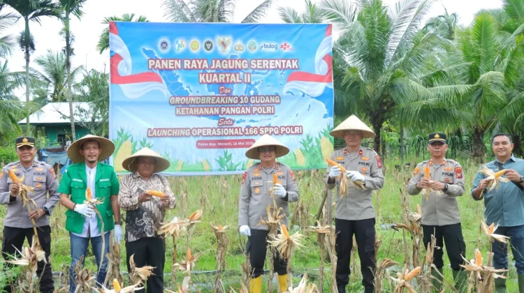 Launching Program Ketahanan Pangan Polri, Polres Meranti Panen Raya Jagung