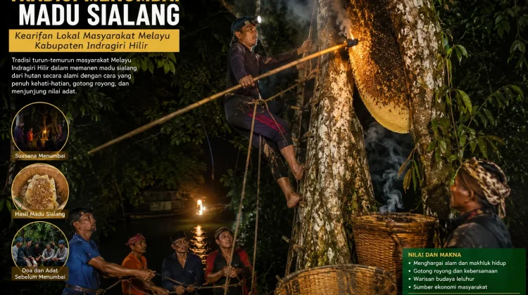 Menumbai Madu Sialang Tradisi Melayu Indragiri Hilir yang Menjaga Harmoni Alam