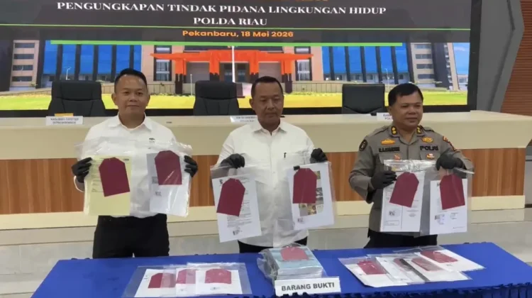 PT MM Jadi Tersangka Kasus Perusakan Lingkungan di Riau
