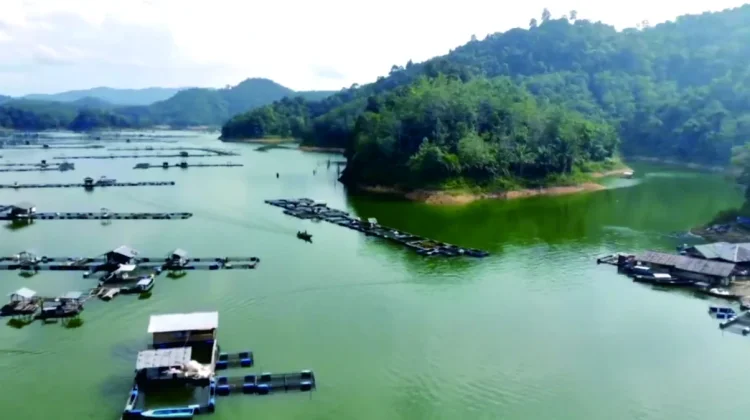 Pesona Wisata Keramba di Waduk PLTA Koto Panjang