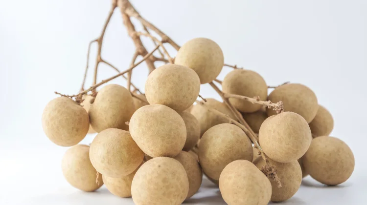 Mengenal Berbagai Jenis Buah Kelengkeng Unggulan