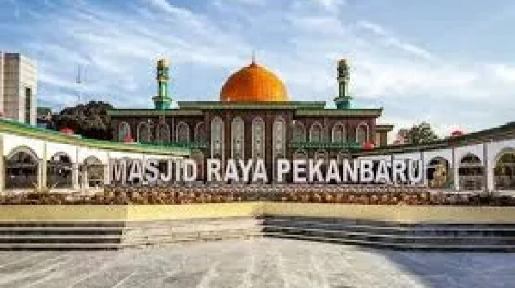 Masjid Raya Senapelan Siapkan 12 Sapi Kurban Iduladha