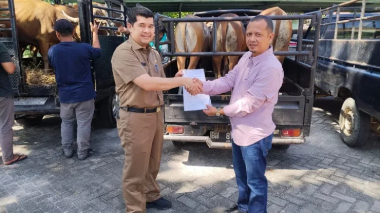 Puluhan Hewan Kurban Terkumpul di Islamic Center Bangkinang