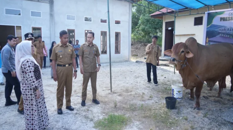 Warga Kuok Terima Sapi Presiden