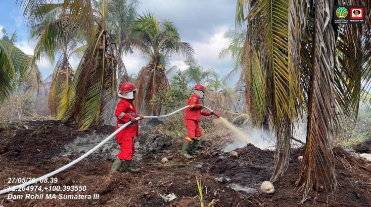 Lebaran Iduladha, Manggala Agni Padamkan Karhutla di Riau
