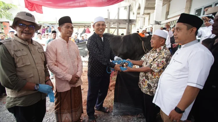 Bupati Inhil Sembelih Kurban Bantuan Presiden