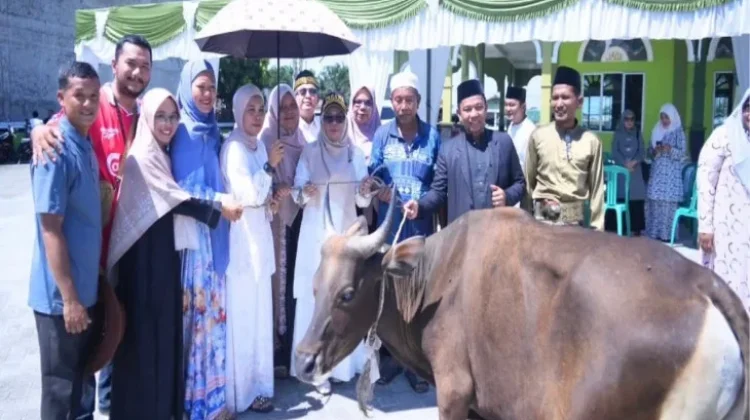 Wabup Kampar Tinjau Pemotongan Hewan Kurban