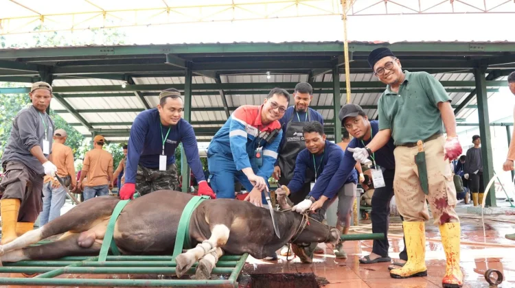 Tebar Manfaat Idul Adha, Pertamina Patra Niaga Kilang Dumai Salurkan Kurban
