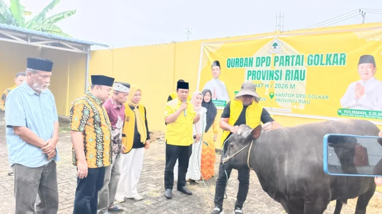 Golkar Riau Sembelih 5 Sapi dan 4 Kambing, Ribuan Paket Daging Dibagikan