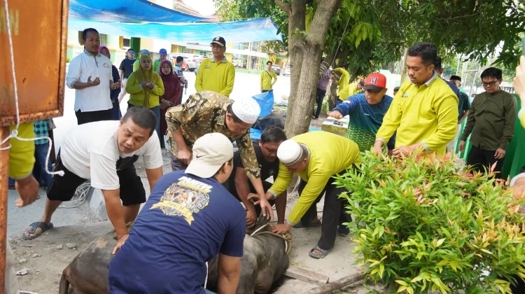 Kemenag R⁮iau Laksanakan Pemotongan Hewan Kurban