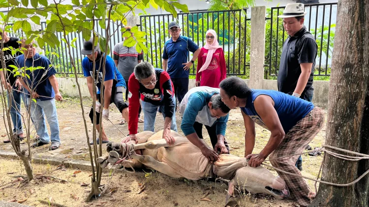 PWI Riau Tebar Kepedulian lewat Pemotongan 7 Hewan Kurban