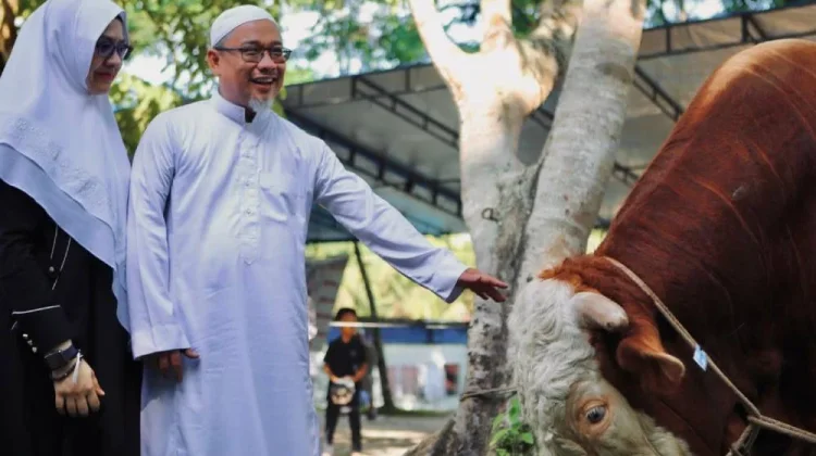 Sekdako Fahmi Lakukan Penyembelihan Sapi Kurban Bantuan Presiden