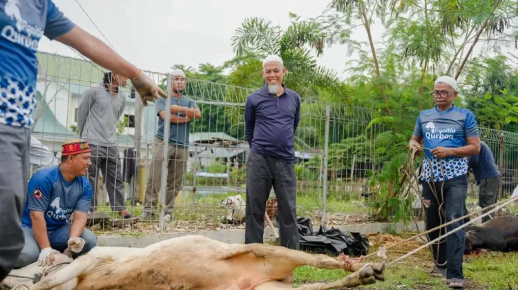 BKMT Kota Dumai Sembelih 7 Sapi dan 1 Kambing