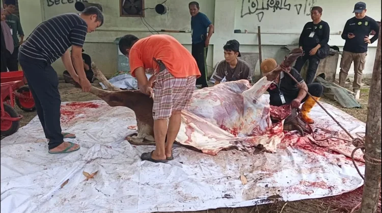 Warga Antusias Terima Daging Kurban Masjid An-Nur
