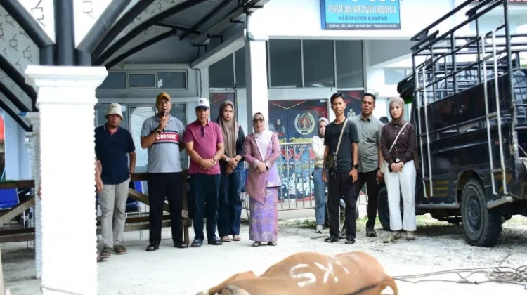 Penyembelihan Hewan Kurban di Sekretariat PWI Kampar
