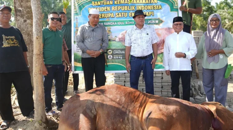 Sapi Kurban Bantuan Presiden Dipotong di Inuman