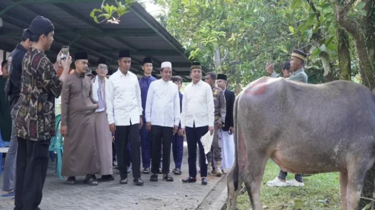 Islamic Center  Masuk 4 Besar Nasional Penyumbang Hewan Qurban Terbanyak