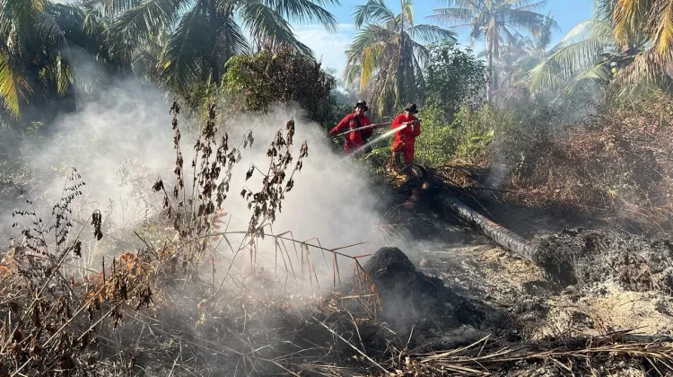 Manggala Agni Terus Lakukan Pemadaman Karhutla di Rohil dan Siak