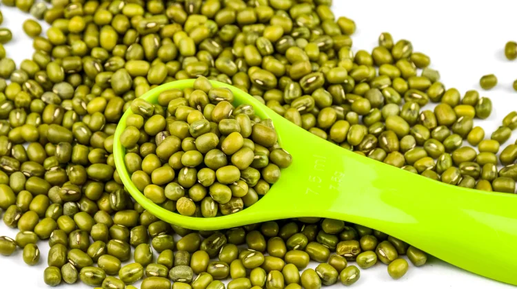 Kacang Hijau: Superfood Kaya Nutrisi untuk MPASI
