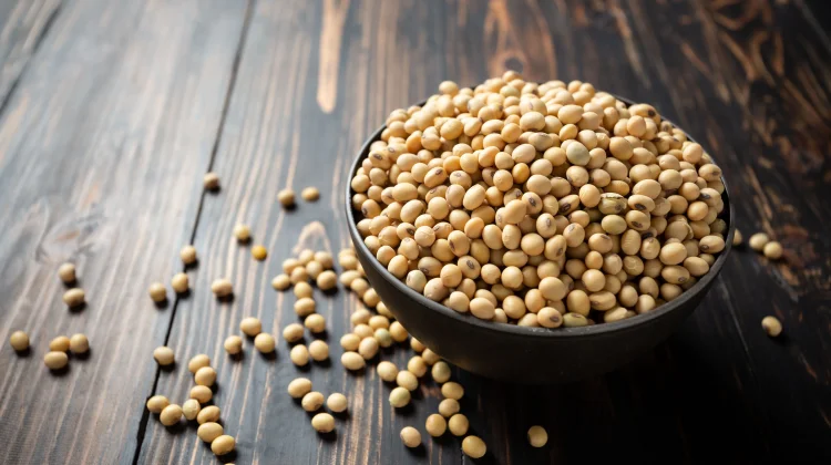 Manfaat Kacang Kedelai untuk Kesehatan Kulit