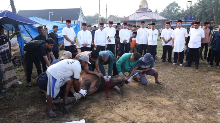 Kapolri dan Kapolda Riau Salurkan Kurban di Ponpes UAS