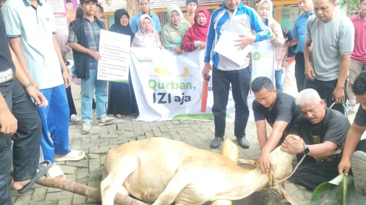 SMAN 10 Pekanbaru Bersama IZI Riau Gelar Qurban 1447 H